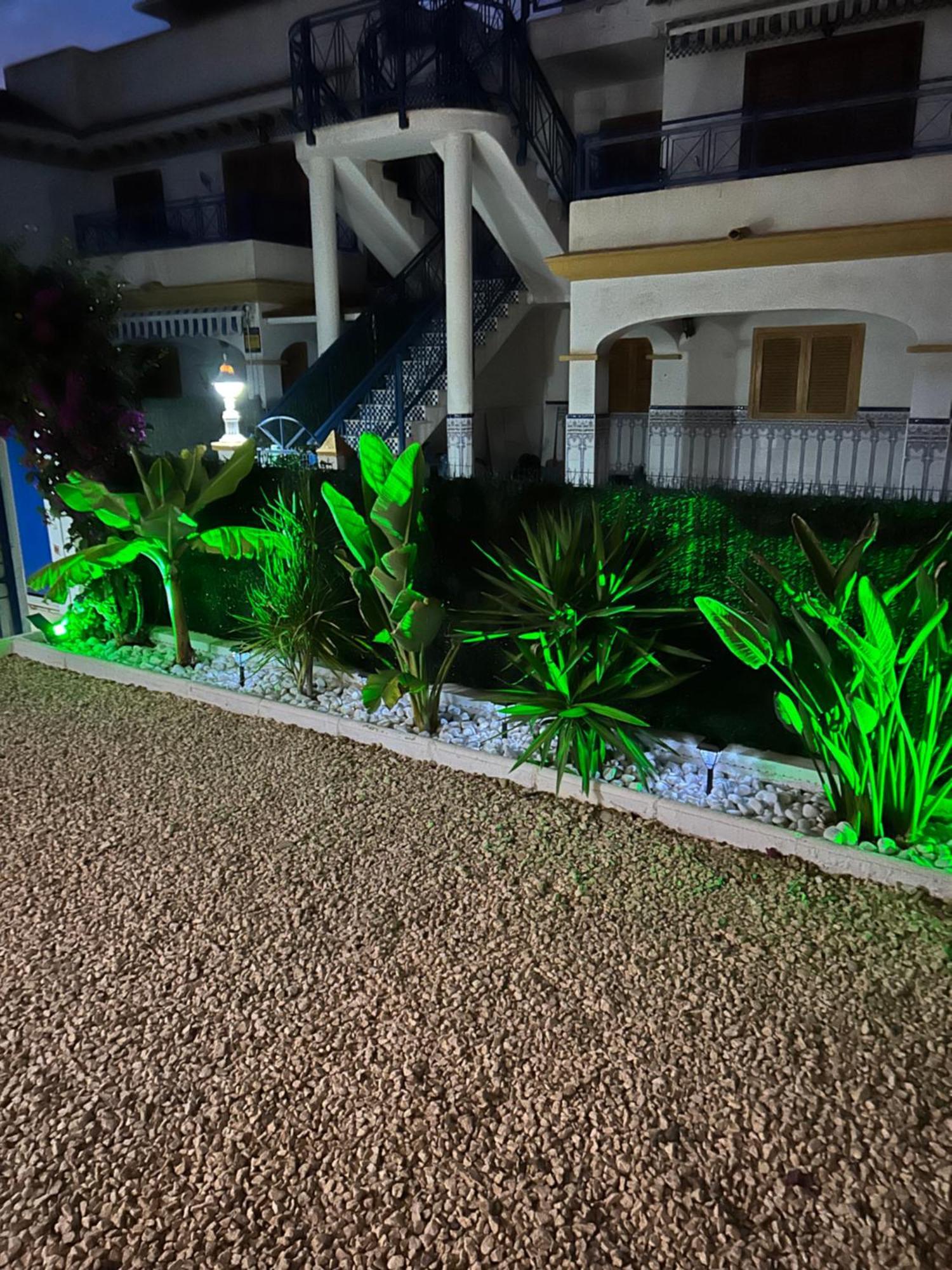 Acogedor Apartamento En La Playa 베라 외부 사진